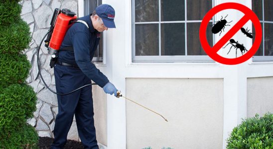Kumlu Böcek İlaçlama böcek ilaçlama ve haşere kontrolü — ilaclama-tr.com